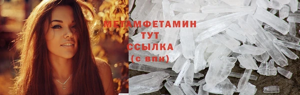 твердый Ладушкин