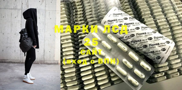 прущие грибы Лагань