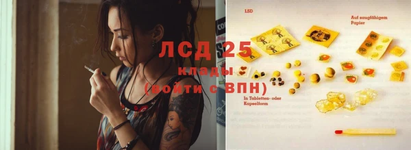 прущие грибы Лагань