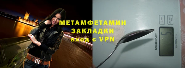 твердый Ладушкин