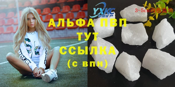твердый Ладушкин