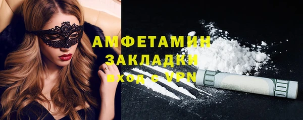 твердый Ладушкин