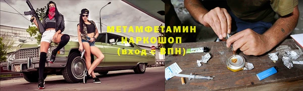 прущие грибы Лагань
