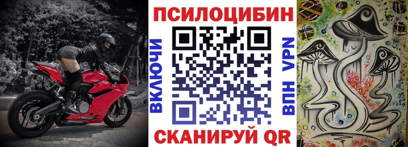 дарнет шоп  Надым  Галлюциногенные грибы GOLDEN TEACHER 