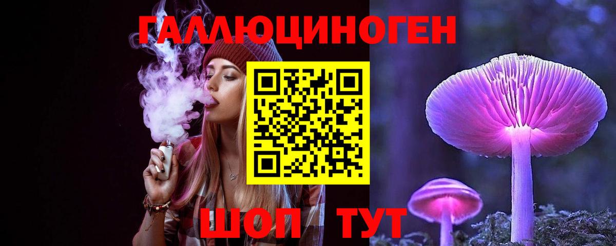 Галлюциногенные грибы Psilocybine cubensis Надым