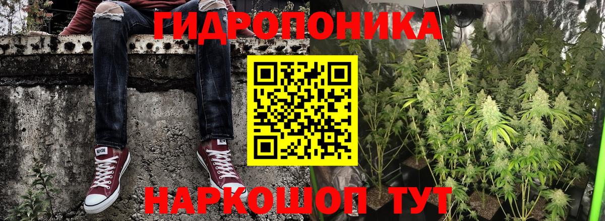 Конопля ГИДРОПОН  Каннабис планчик  Вход с VPN  Канабис Amnesia  Надым 